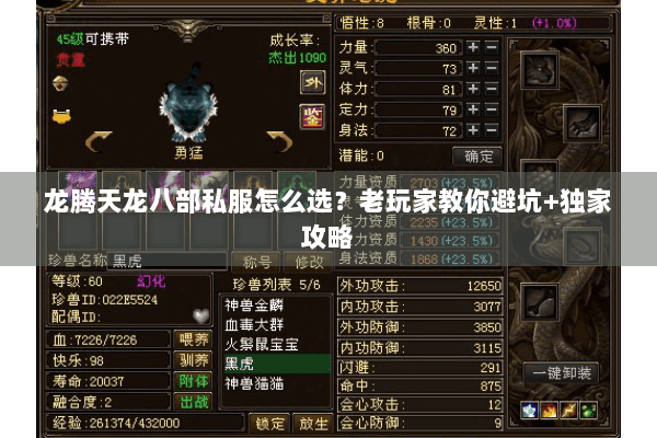 龙腾天龙八部私服怎么选？老玩家教你避坑+独家攻略