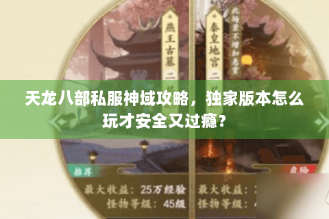 天龙八部私服神域攻略，独家版本怎么玩才安全又过瘾？