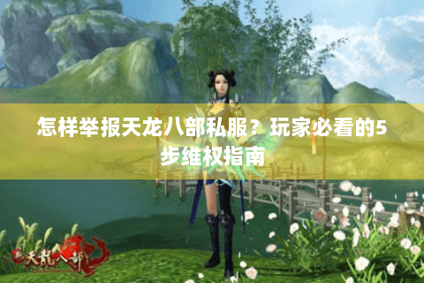 怎样举报天龙八部私服？玩家必看的5步维权指南