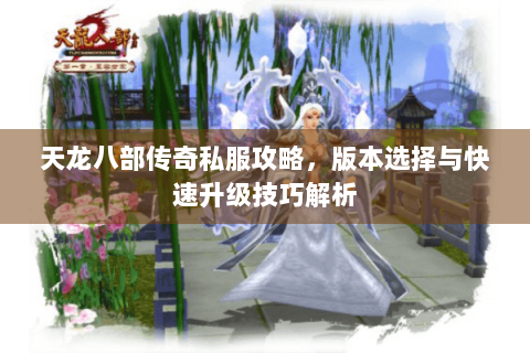 天龙八部传奇私服攻略，版本选择与快速升级技巧解析