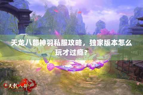 天龙八部神羽私服攻略，独家版本怎么玩才过瘾？