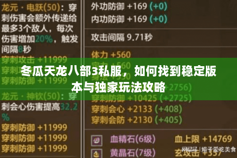 冬瓜天龙八部3私服，如何找到稳定版本与独家玩法攻略