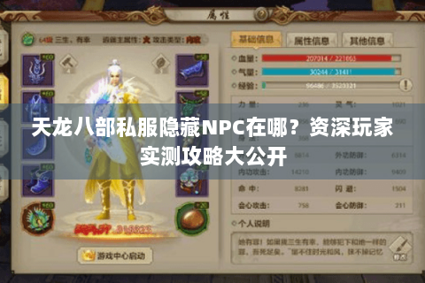 天龙八部私服隐藏NPC在哪？资深玩家实测攻略大公开