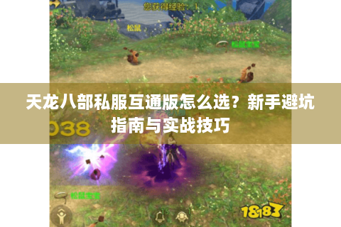 天龙八部私服互通版怎么选？新手避坑指南与实战技巧