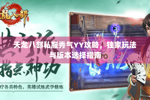 天龙八部私服秀气YY攻略，独家玩法与版本选择指南