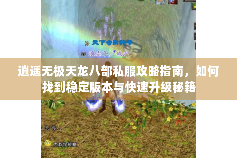 逍遥无极天龙八部私服攻略指南，如何找到稳定版本与快速升级秘籍