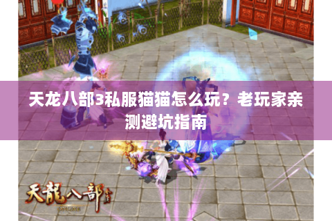 天龙八部3私服猫猫怎么玩？老玩家亲测避坑指南