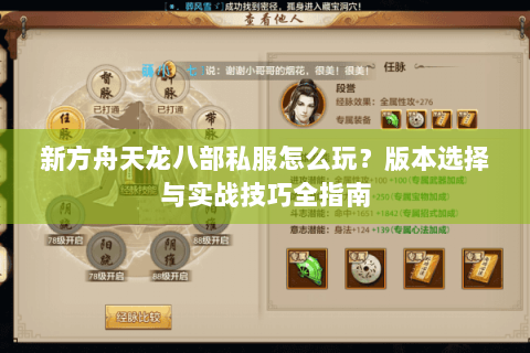 新方舟天龙八部私服怎么玩？版本选择与实战技巧全指南