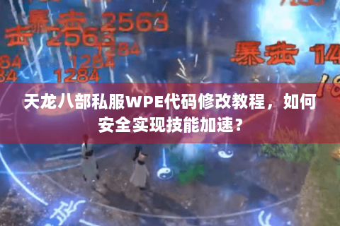 天龙八部私服WPE代码修改教程，如何安全实现技能加速？