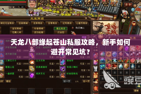 天龙八部缘起苍山私服攻略，新手如何避开常见坑？