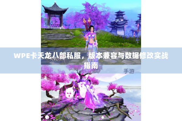 WPE卡天龙八部私服，版本兼容与数据修改实战指南