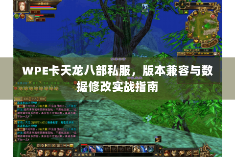 WPE卡天龙八部私服，版本兼容与数据修改实战指南