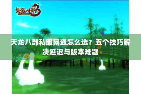 天龙八部私服网通怎么选？五个技巧解决延迟与版本难题