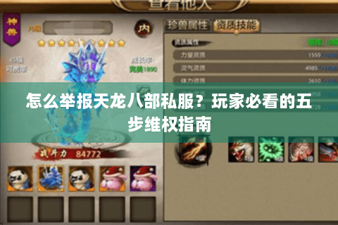 怎么举报天龙八部私服？玩家必看的五步维权指南
