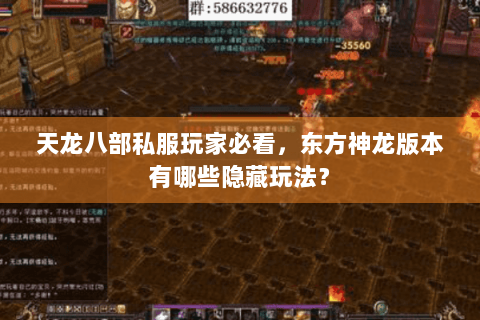 天龙八部私服玩家必看，东方神龙版本有哪些隐藏玩法？