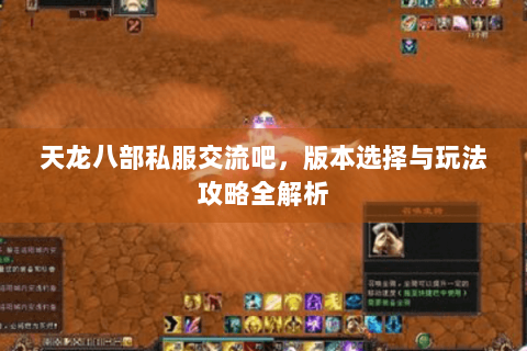 天龙八部私服交流吧，版本选择与玩法攻略全解析