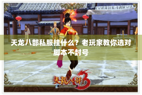 天龙八部私服挂什么？老玩家教你选对脚本不封号
