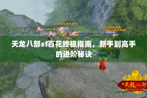 天龙八部sf百花终极指南，新手到高手的进阶秘诀