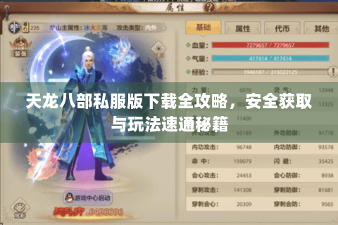 天龙八部私服版下载全攻略，安全获取与玩法速通秘籍