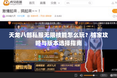 天龙八部私服无限技能怎么玩？独家攻略与版本选择指南