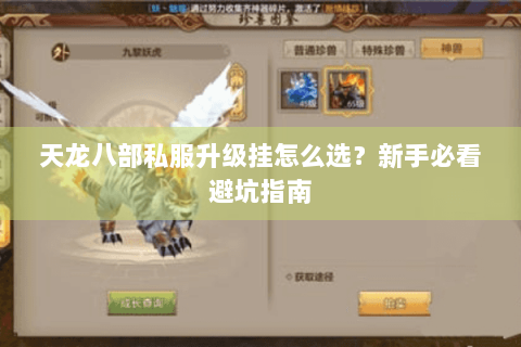 天龙八部私服升级挂怎么选？新手必看避坑指南