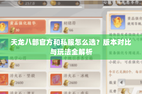 天龙八部官方和私服怎么选？版本对比与玩法全解析