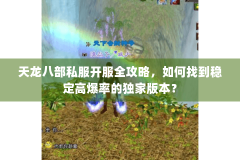 天龙八部私服开服全攻略，如何找到稳定高爆率的独家版本？