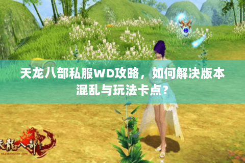 天龙八部私服WD攻略，如何解决版本混乱与玩法卡点？