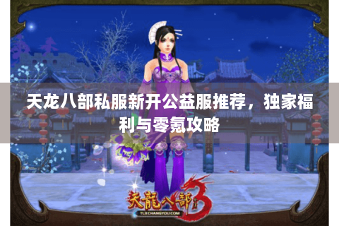 天龙八部私服新开公益服推荐，独家福利与零氪攻略