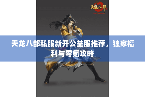 天龙八部私服新开公益服推荐，独家福利与零氪攻略