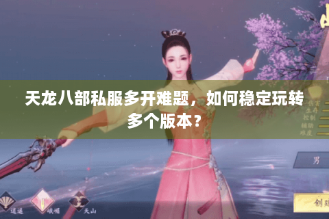 天龙八部私服多开难题，如何稳定玩转多个版本？