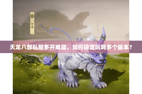 天龙八部私服多开难题，如何稳定玩转多个版本？