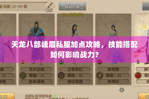 天龙八部峨眉私服加点攻略，技能搭配如何影响战力？
