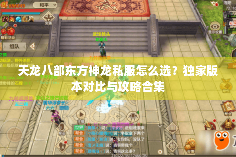 天龙八部东方神龙私服怎么选？独家版本对比与攻略合集