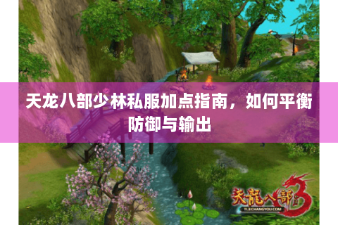天龙八部少林私服加点指南，如何平衡防御与输出
