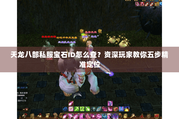 天龙八部私服宝石ID怎么查？资深玩家教你五步精准定位