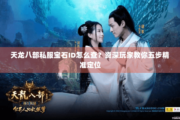 天龙八部私服宝石ID怎么查？资深玩家教你五步精准定位