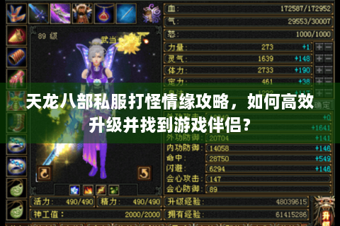 天龙八部私服打怪情缘攻略，如何高效升级并找到游戏伴侣？