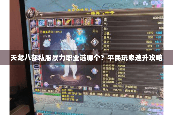 天龙八部私服暴力职业选哪个？平民玩家速升攻略
