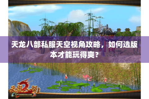 天龙八部私服天空视角攻略，如何选版本才能玩得爽？