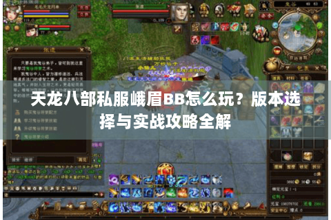 天龙八部私服峨眉BB怎么玩？版本选择与实战攻略全解