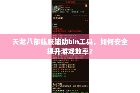 天龙八部私服辅助bin工具，如何安全提升游戏效率？