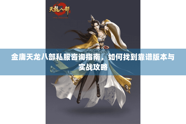 金庸天龙八部私服咨询指南，如何找到靠谱版本与实战攻略