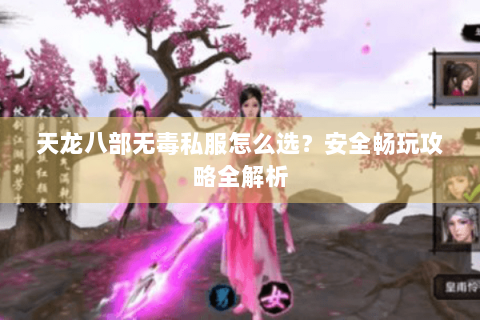 天龙八部无毒私服怎么选？安全畅玩攻略全解析