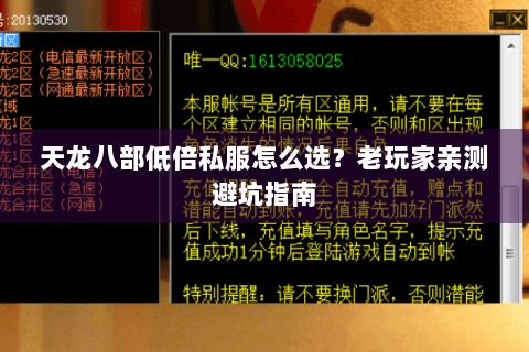 天龙八部低倍私服怎么选？老玩家亲测避坑指南