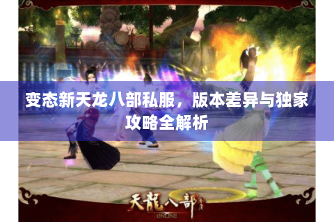 变态新天龙八部私服，版本差异与独家攻略全解析