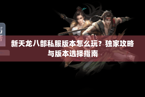 新天龙八部私服版本怎么玩？独家攻略与版本选择指南
