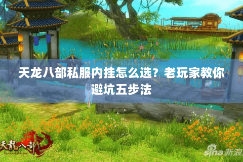 天龙八部私服内挂怎么选？老玩家教你避坑五步法