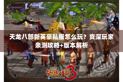 天龙八部新英豪私服怎么玩？资深玩家亲测攻略+版本解析