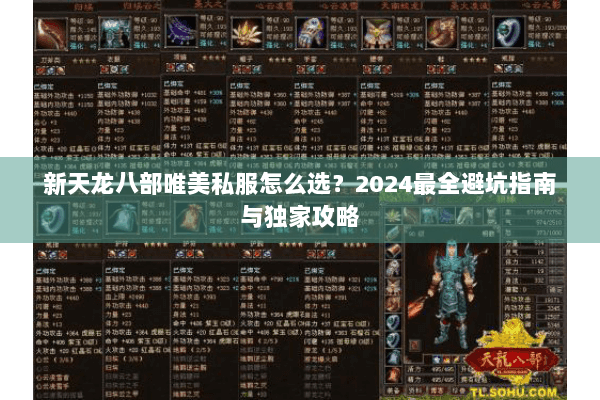 新天龙八部唯美私服怎么选？2024最全避坑指南与独家攻略